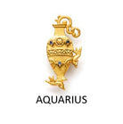 Aquarius (Jan 20 - Feb 18)